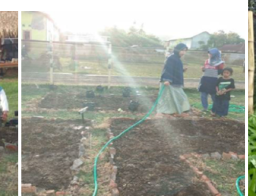 Terapi Hortikultura Sebagai Metode Pemulihan Trauma Bagi Ibu Rumah Tangga Pasca Gempa di Desa Pemenang Barat